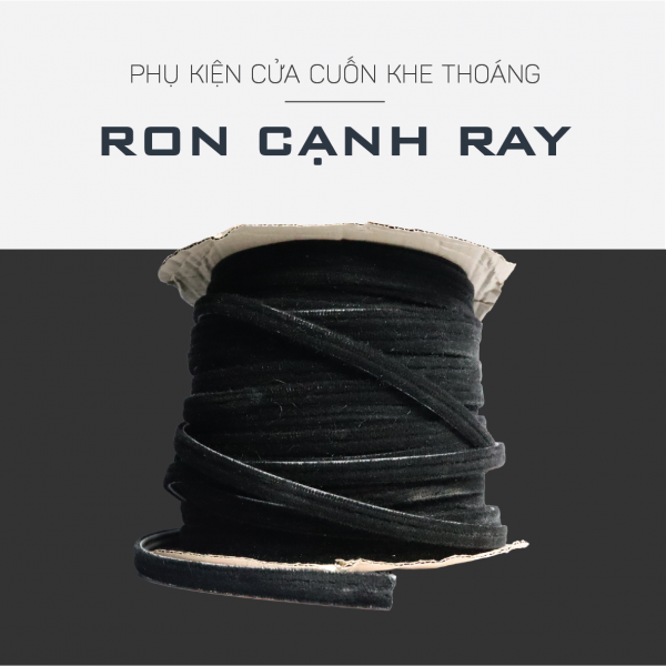 Ron cạnh ray cửa cuốn đức