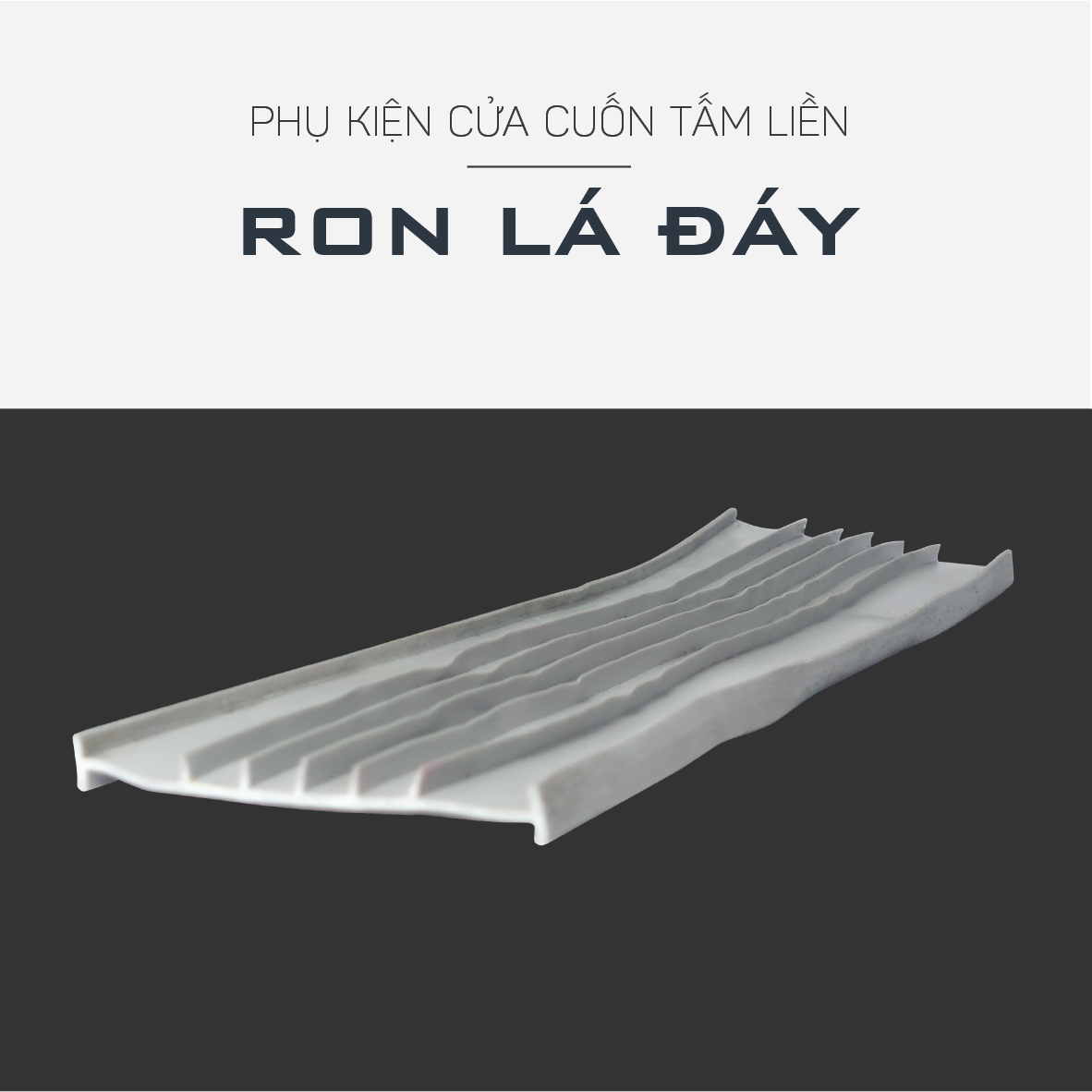 Ron lá đáy cửa cuốn tấm liền